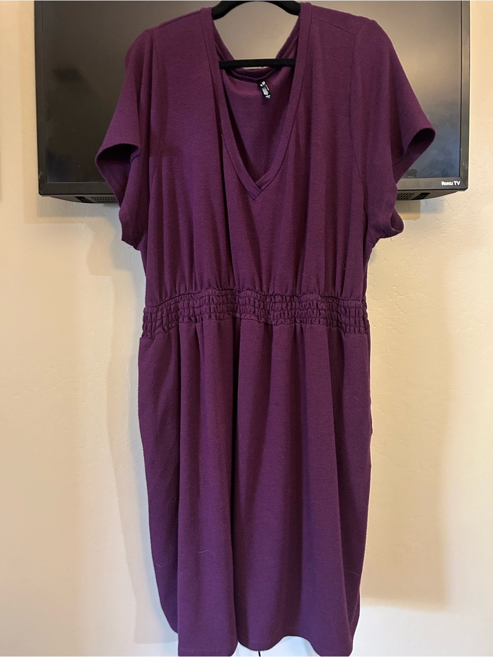 Purple V-Neck Shirred Waist sleep Women’s Dress